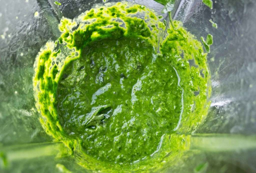 grøn pesto grøn pesto