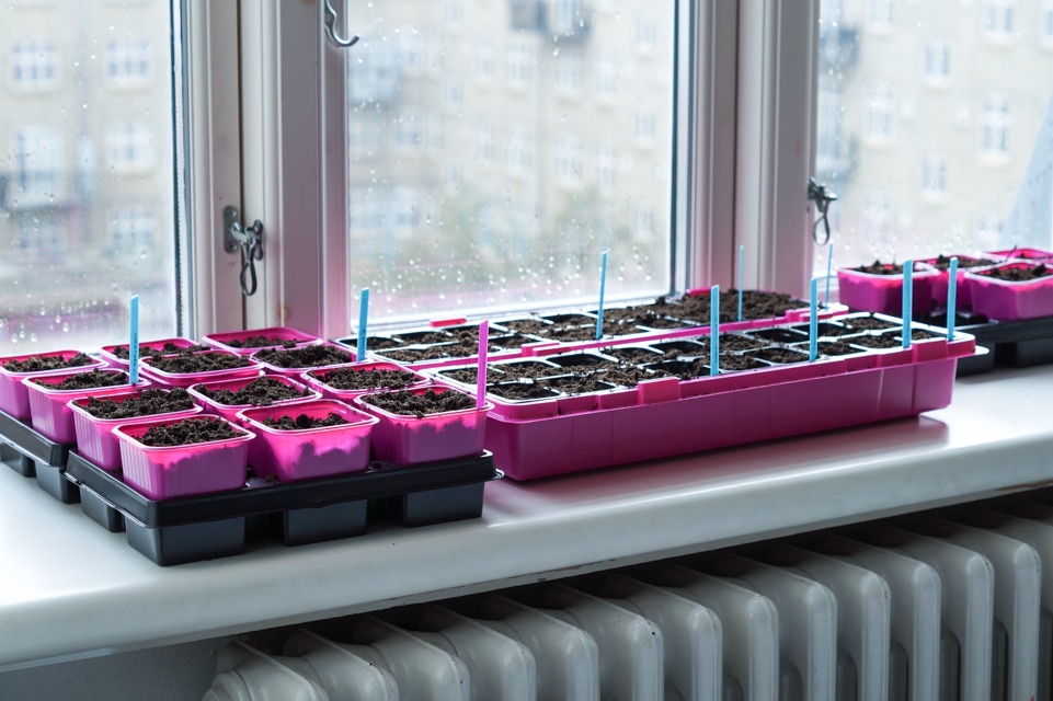 urbangarden-3