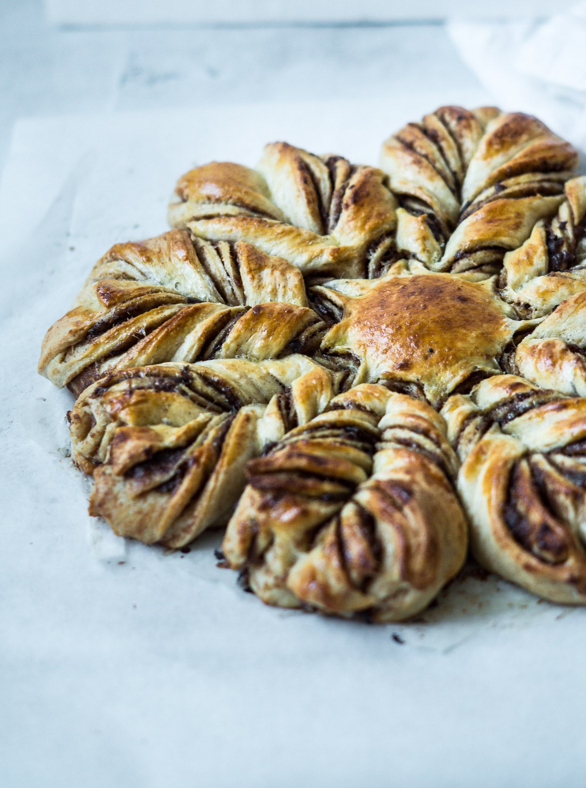 Sundere kanelstjerne Sundere kanelstjerne