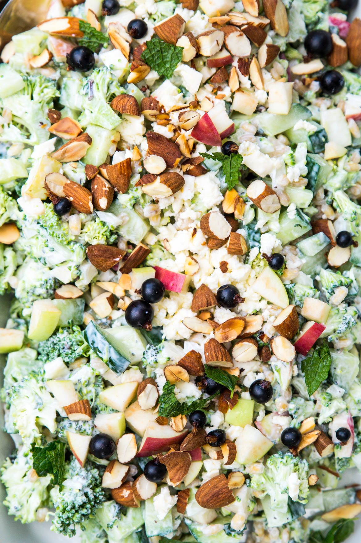 Broccolisalat med æble og græsk yoghurt Broccolisalat med æble og græsk yoghurt