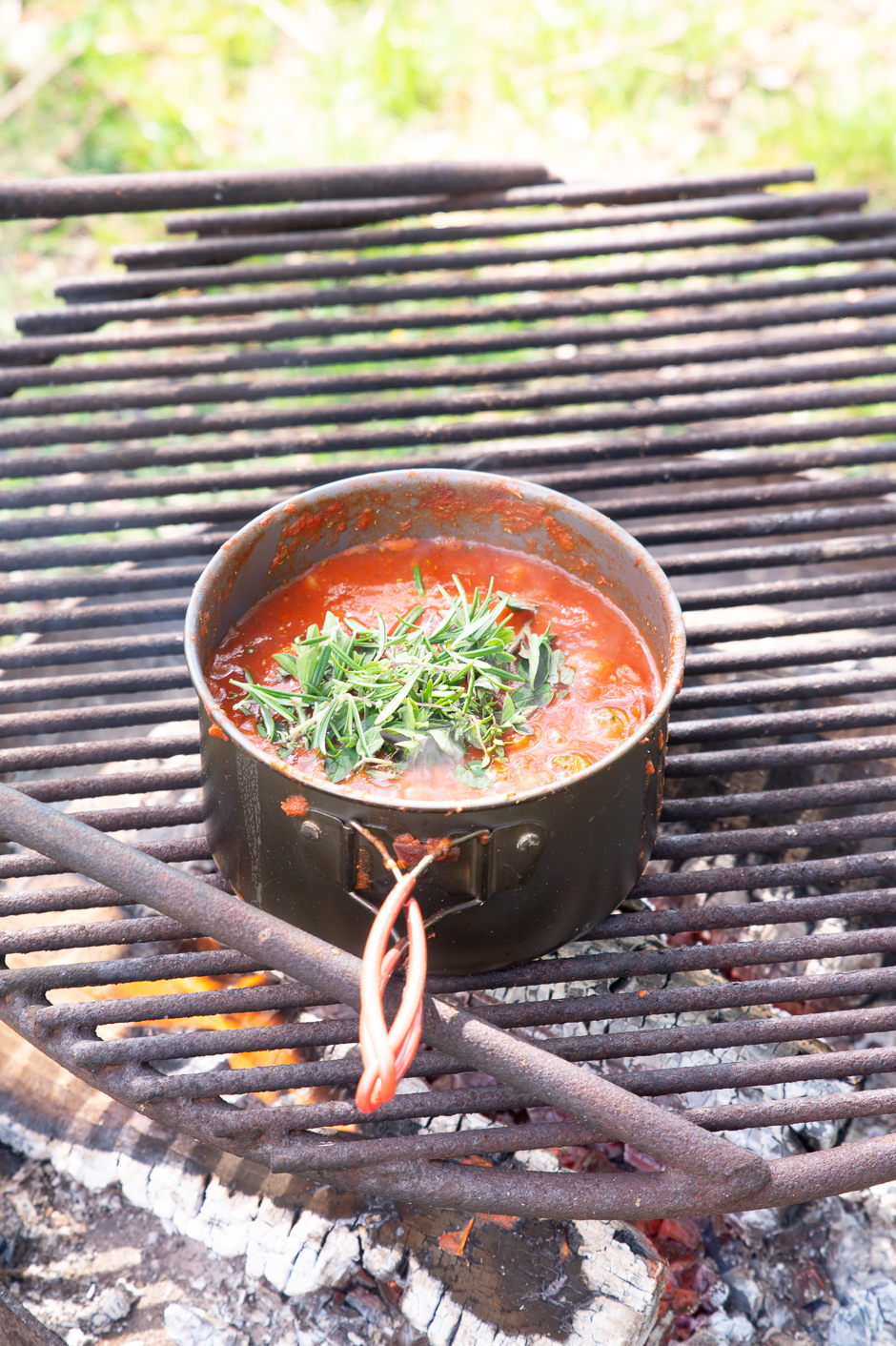 Vegetarisk bålgryde